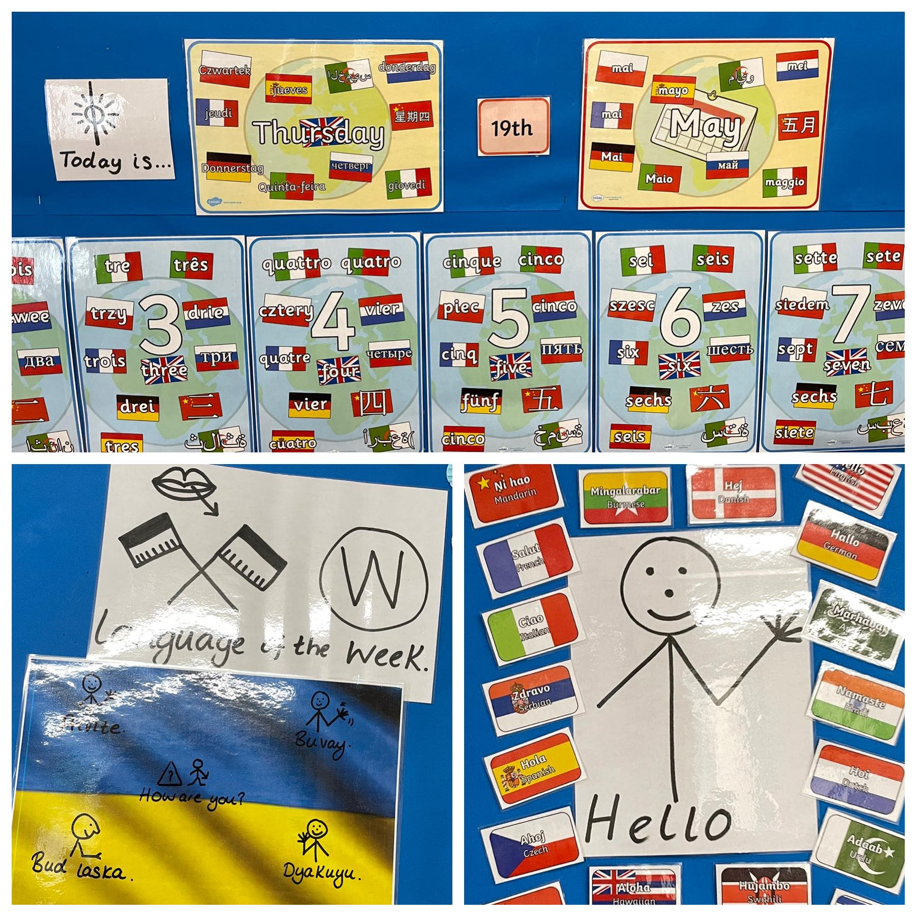 EAL board