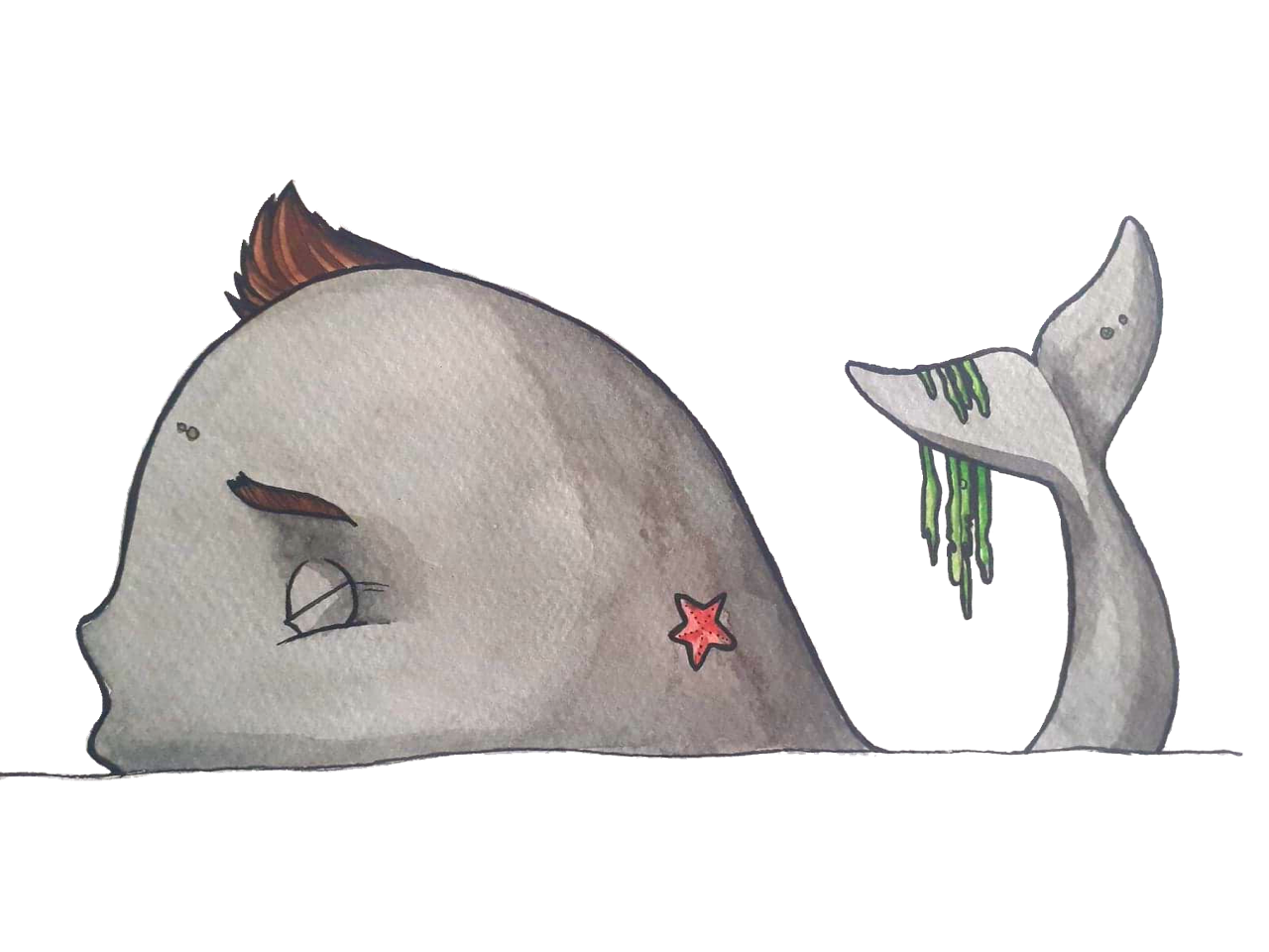 Whale