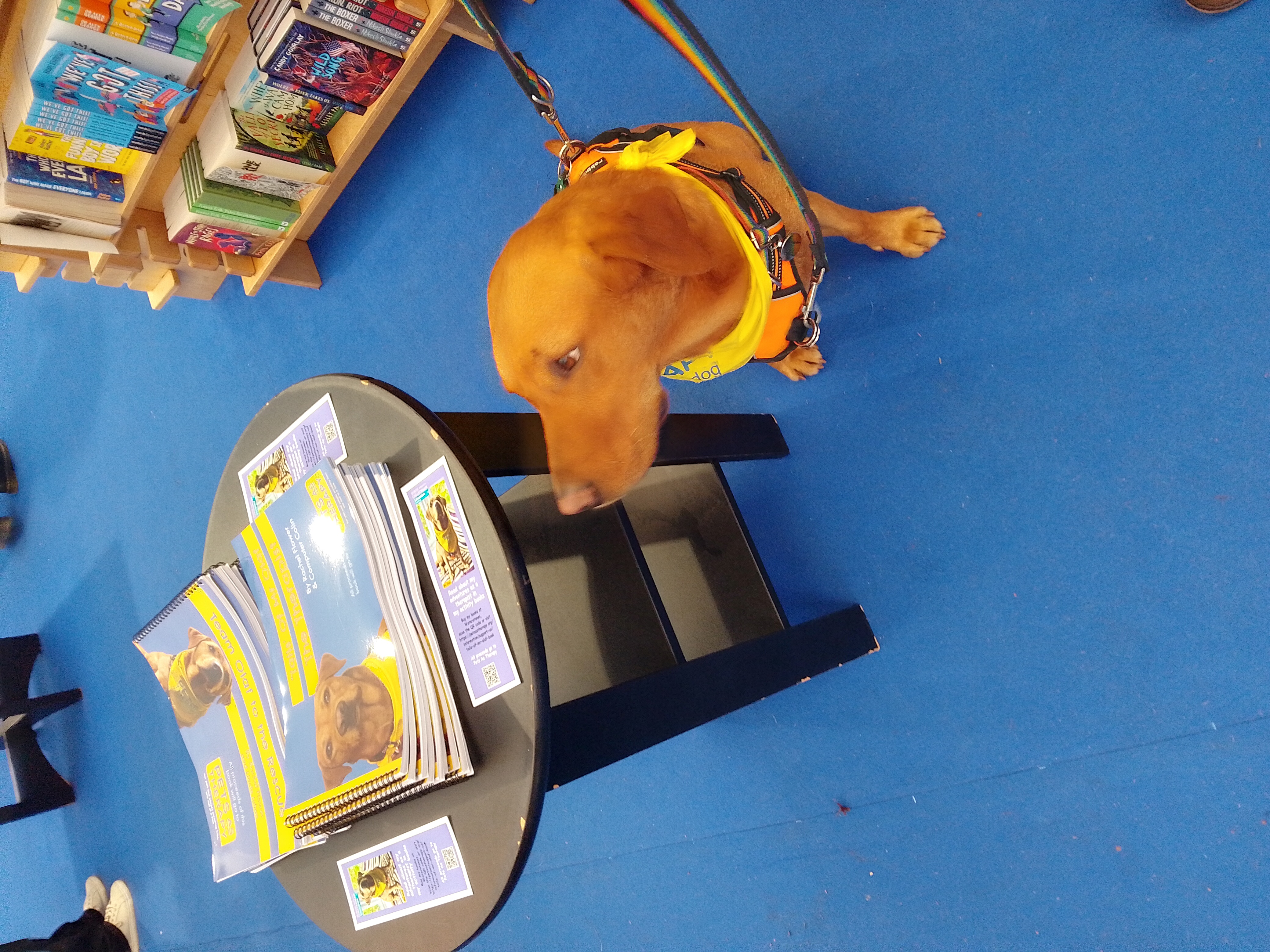 Olaf in book shop